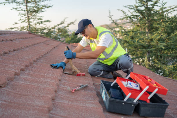Best Best Roofing Contractors  in Macon, IL