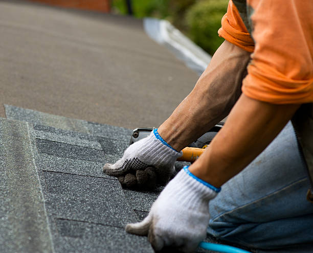 Best New Roof Installation  in Macon, IL