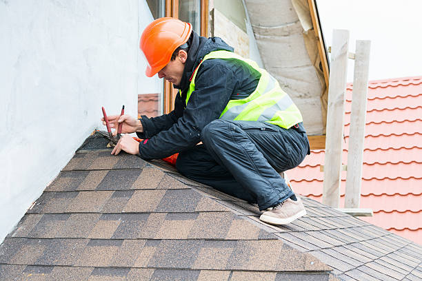 Best Roof Gutter Cleaning  in Macon, IL
