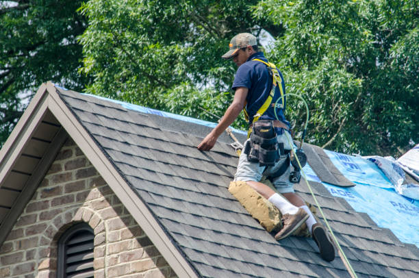Best Roof Restoration Services  in Macon, IL